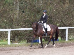 IMG_7923_web